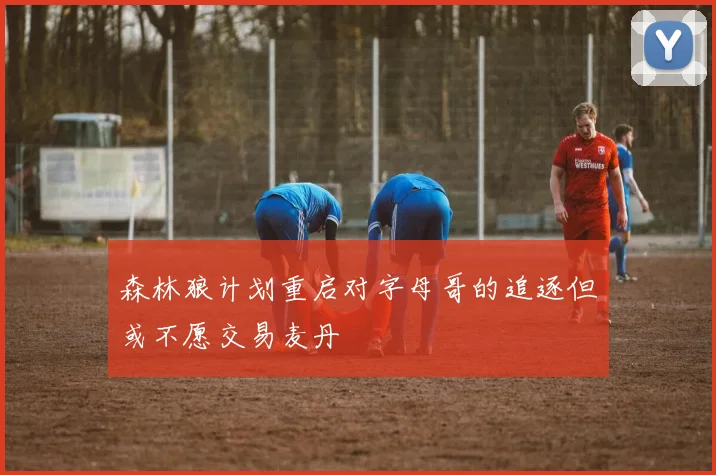 森林狼计划重启对字母哥的追逐但或不愿交易麦丹